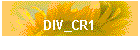 DIV_CR1