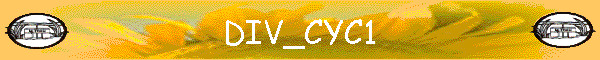 DIV_CYC1